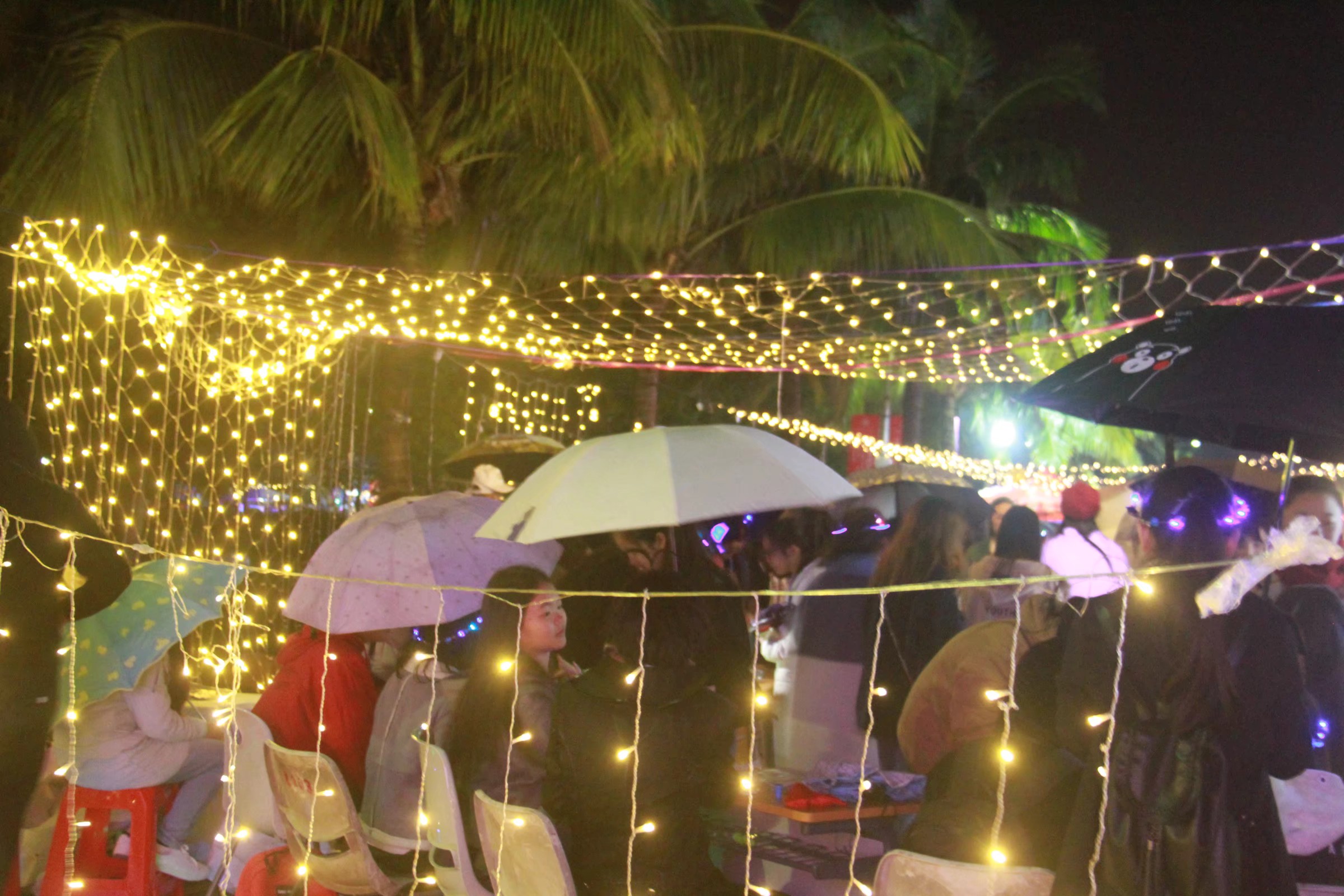 青年之声・相约大马院,携手元旦游园