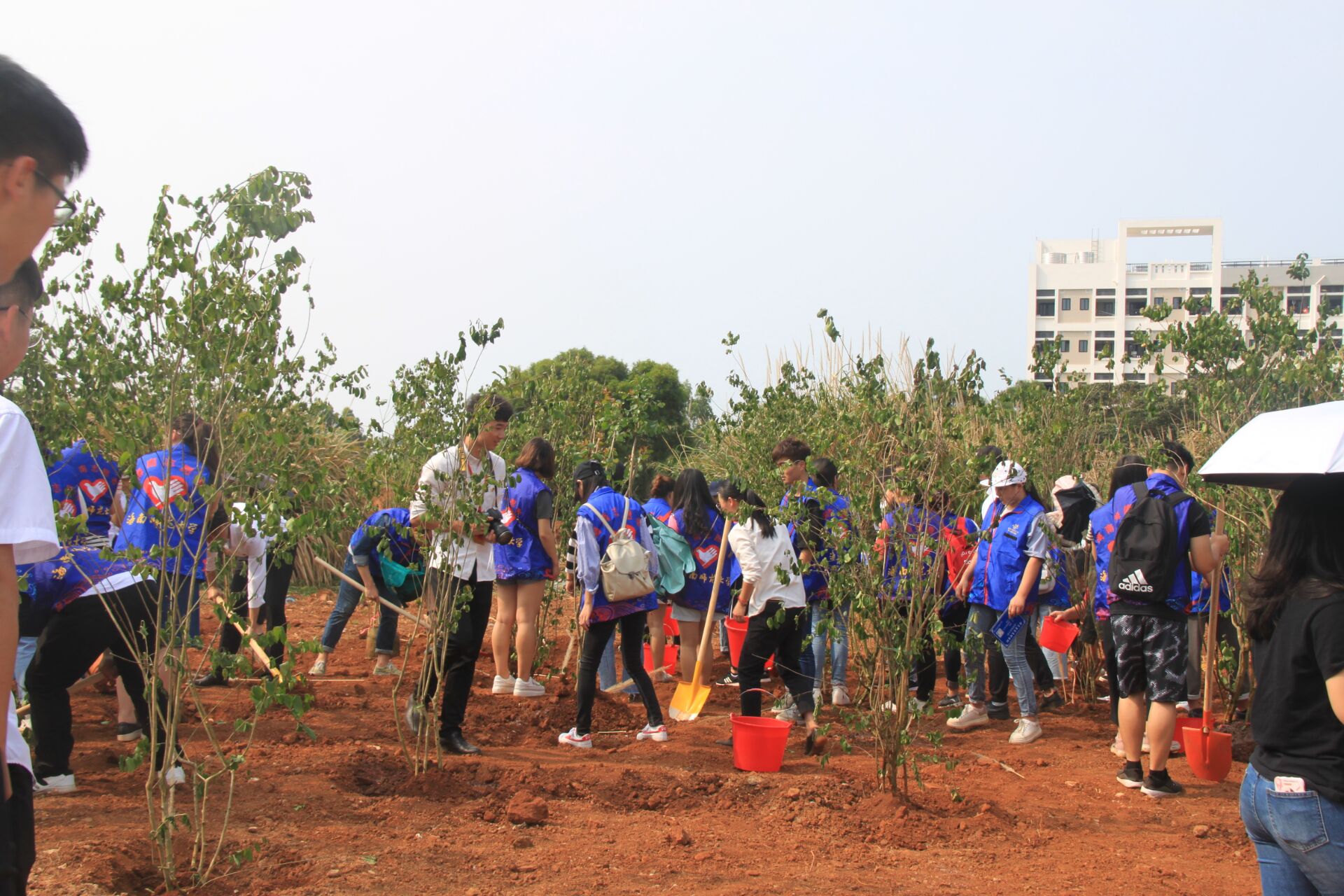 青年之声・海师校团委组织开展生态文明建设活动