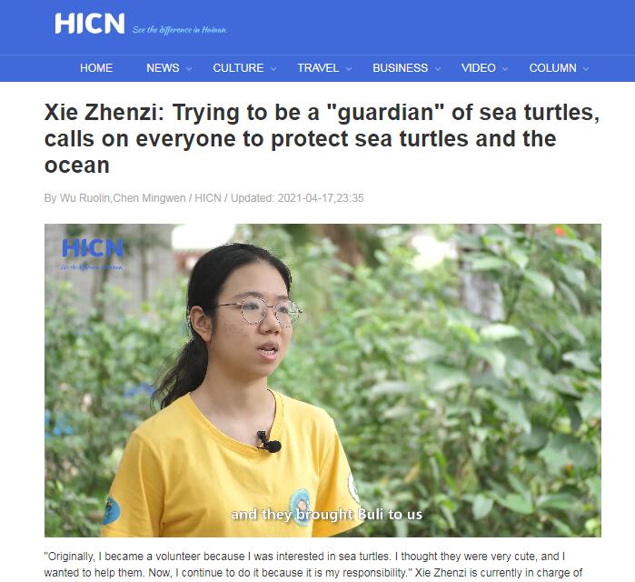中英双语报道《海龟“守护人”谢祯子》