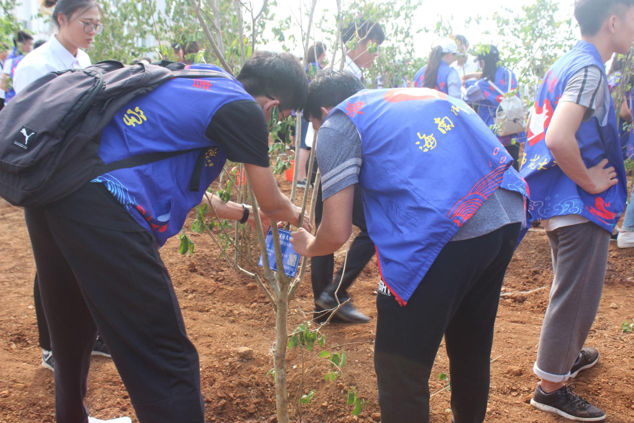 青年之声・绿色植树日,低碳我先行