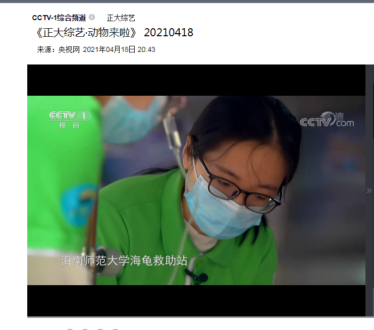 海龟救助站专题片登上央视《正大综艺·动物来啦》