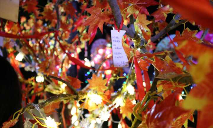 暖冬法学院 贺岁励新年